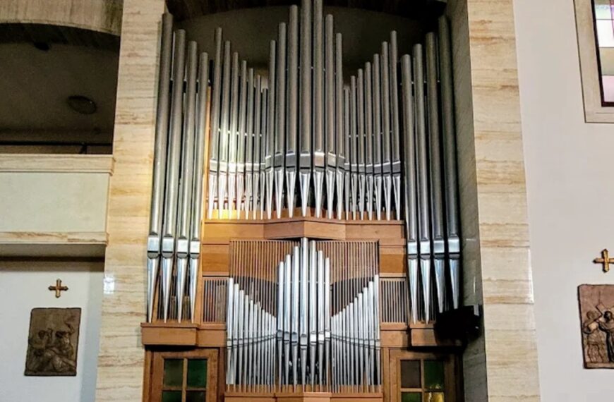 Image7